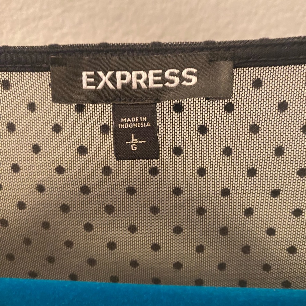 Express Large Sheer Top - image 4